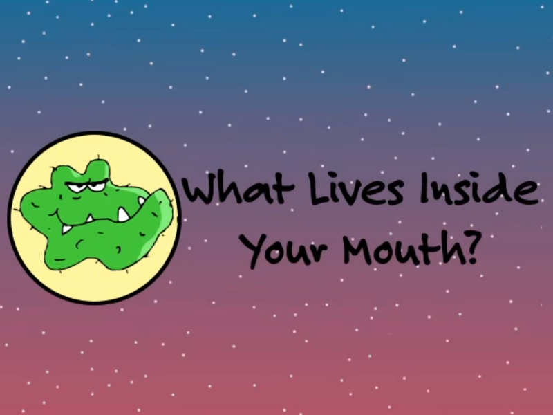 Link to [NIHOD] (2013, Sep 12) What lives inside your mouth?. [Video File] Retrieved from https://youtu.be/v0crP-3dRBE